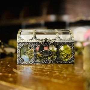 Whimsical Bronze Chest Set (“Grab Bag”) - Fae Goth Cottagecore Goth Sticker Set